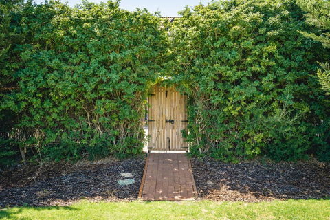 Mick O\'Sheas - Lismore Accommodation 32