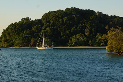 Brunswick Heads Treetop Studio - Lismore Accommodation 9