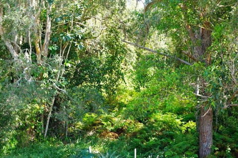 Brunswick Heads Treetop Studio - Lismore Accommodation 20