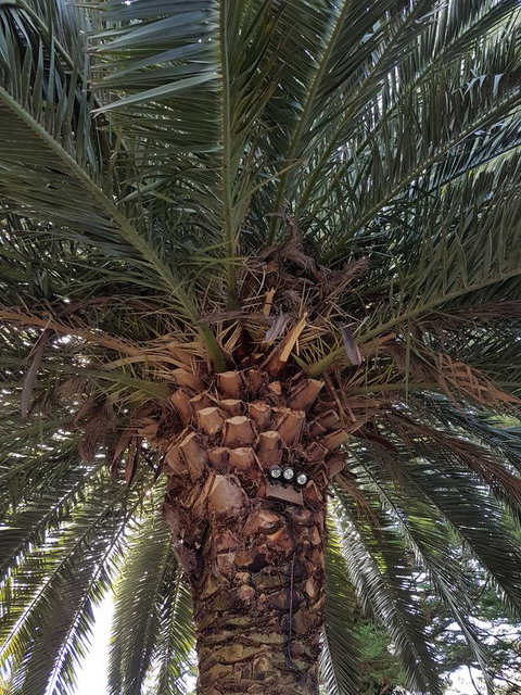 Possum Cottage - Lismore Accommodation 3