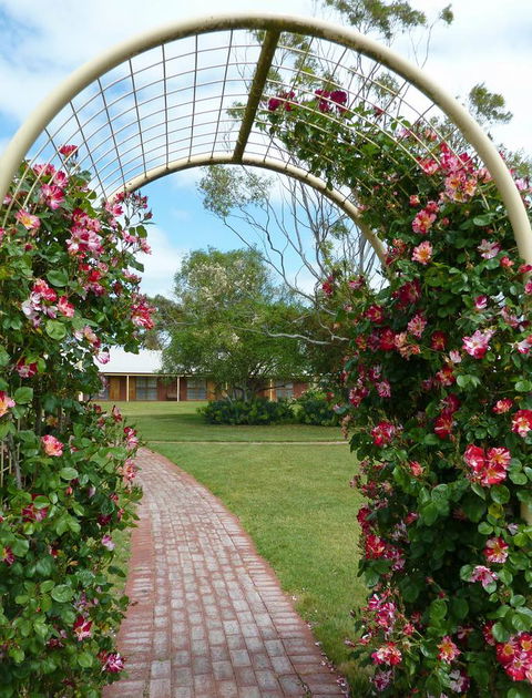 Coonawarra Place Motor Inn - Lismore Accommodation 20