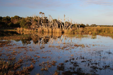 Sapphire Chalets, Augusta - Lismore Accommodation 13