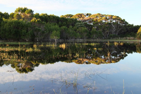 Sapphire Chalets, Augusta - Lismore Accommodation 14