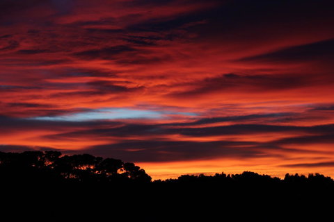 Sapphire Chalets, Augusta - Lismore Accommodation 15