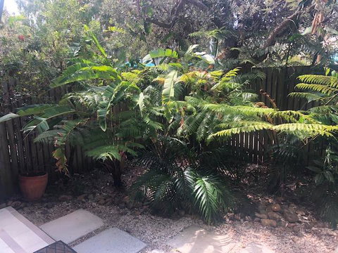 East On Byron - Lismore Accommodation 40