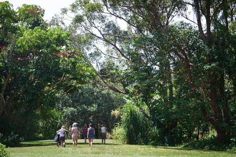 Ingenia Holidays Byron Bay - Lismore Accommodation 11