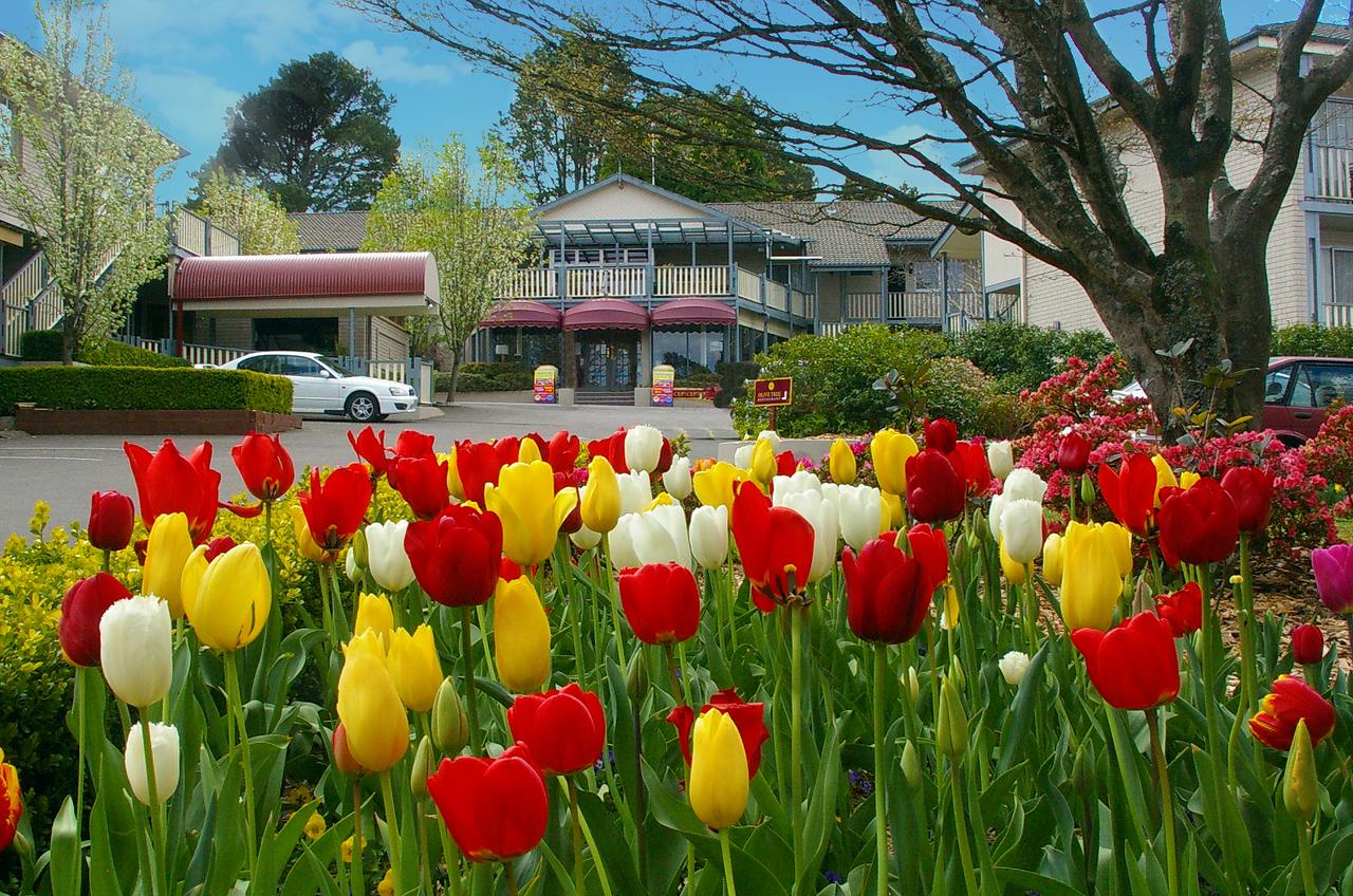 Leura NSW Lismore Accommodation