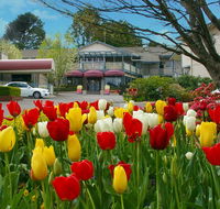 Nesuto Leura Gardens formerly Waldorf Leura Gardens Resort - Lismore Accommodation