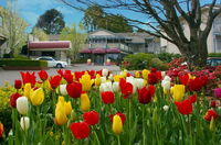 Book Leura Accommodation Vacations Lismore Accommodation Lismore Accommodation