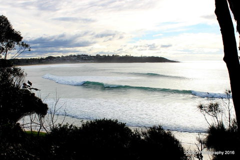 Mollymook Cove Apartments - Lismore Accommodation 2