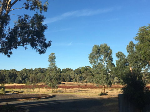 Junee Motor Inn - Lismore Accommodation 24