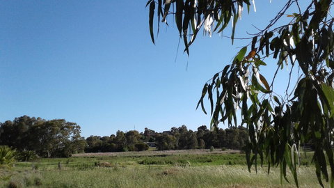 Junee Motor Inn - Lismore Accommodation 8