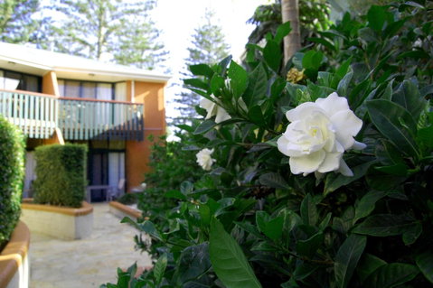 The Crest Byron Bay - Lismore Accommodation 29