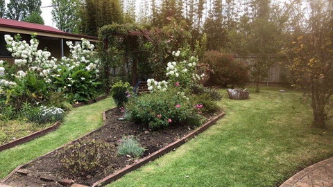 Little Gem - Lismore Accommodation 10