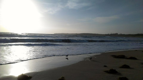 Sweet Spot Shellharbour - Lismore Accommodation 14