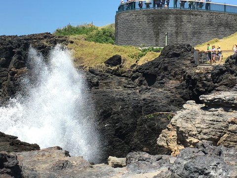 Sweet Spot Shellharbour - Lismore Accommodation 18