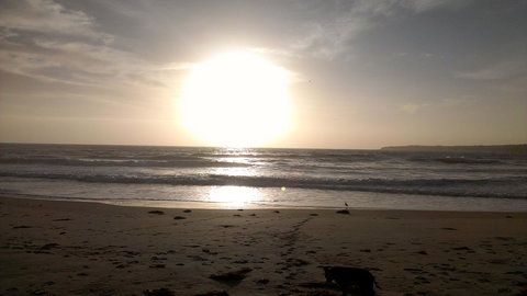 Sweet Spot Shellharbour - Lismore Accommodation 16