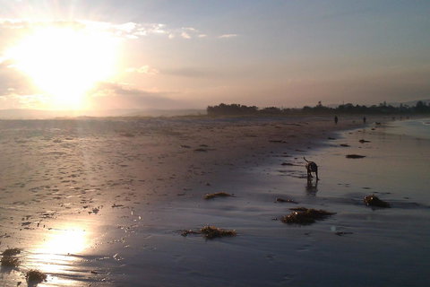 Sweet Spot Shellharbour - Lismore Accommodation 12