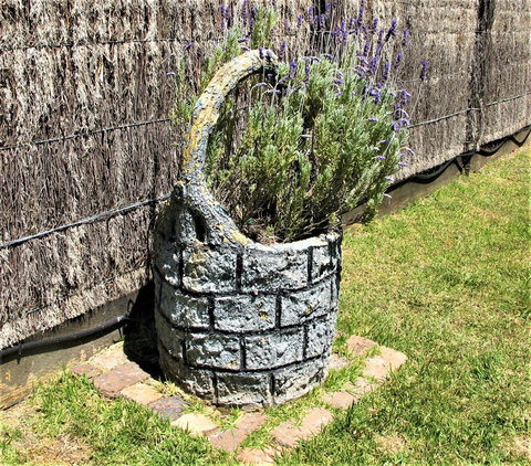 Apple Tree Cottage - Lismore Accommodation 25