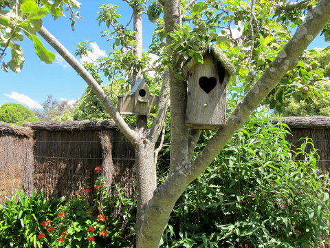 Apple Tree Cottage - Lismore Accommodation 28