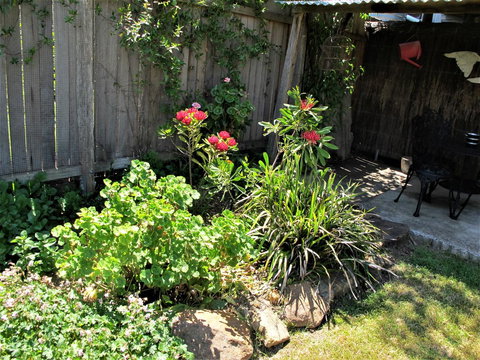 Apple Tree Cottage - Lismore Accommodation 26