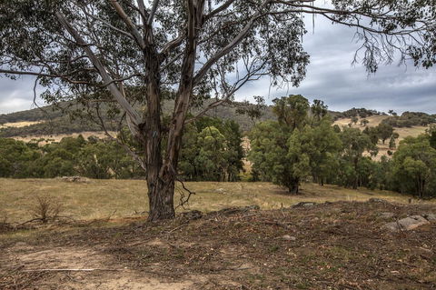 Pound Creek Gallery - Lismore Accommodation 29