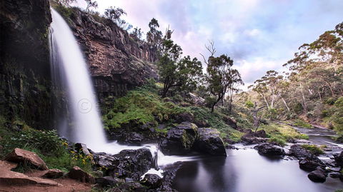 Pound Creek Gallery - Lismore Accommodation 14