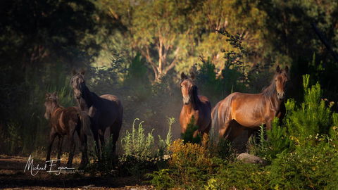 Pound Creek Gallery - Lismore Accommodation 18