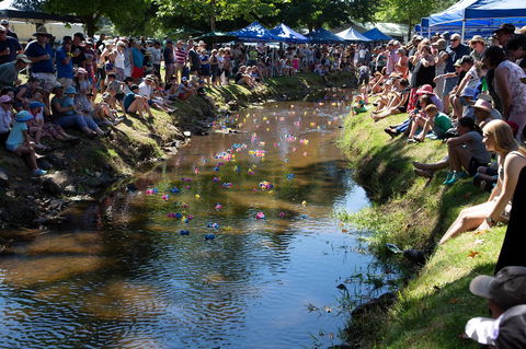 Pound Creek Gallery - Lismore Accommodation 15