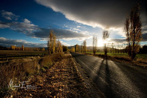 Pound Creek Gallery - Lismore Accommodation 19
