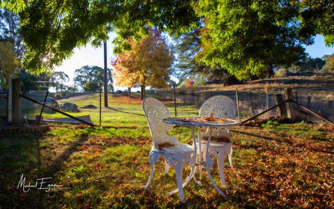 Pound Creek Gallery - Lismore Accommodation 27