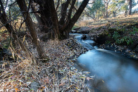 Pound Creek Gallery - Lismore Accommodation 26