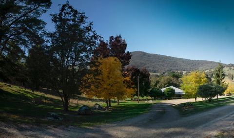 Pound Creek Gallery - Lismore Accommodation 7