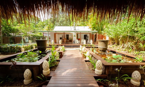 Sanctuary In The Pocket - Lismore Accommodation 3