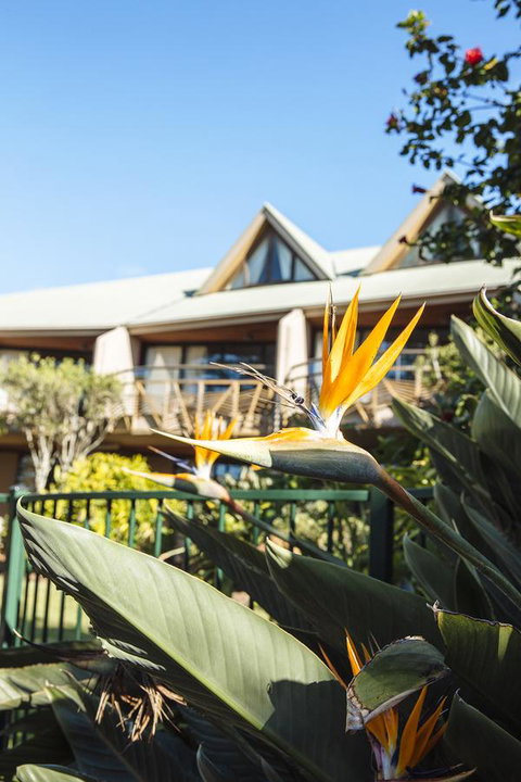 Beach Hotel Resort - Lismore Accommodation 36