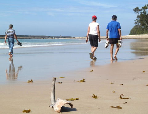 Mollymook Surfbeach Motel & Apartments - Lismore Accommodation 13