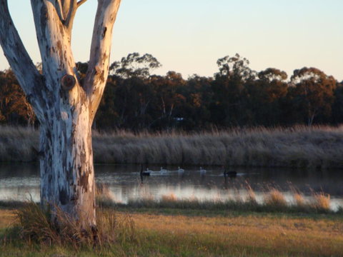Adina Vineyard - Lismore Accommodation 10