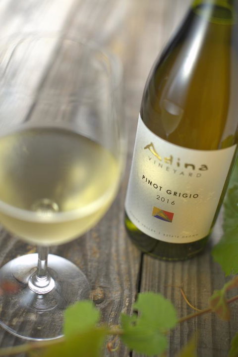 Adina Vineyard - Lismore Accommodation 7