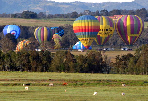 Adina Vineyard - Lismore Accommodation 9