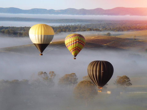 Adina Vineyard - Lismore Accommodation 21