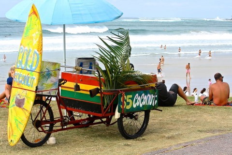 Gidget's Surf Shack - Lismore Accommodation 36
