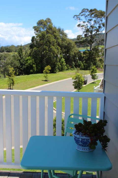 Red Waratah - Lismore Accommodation 1