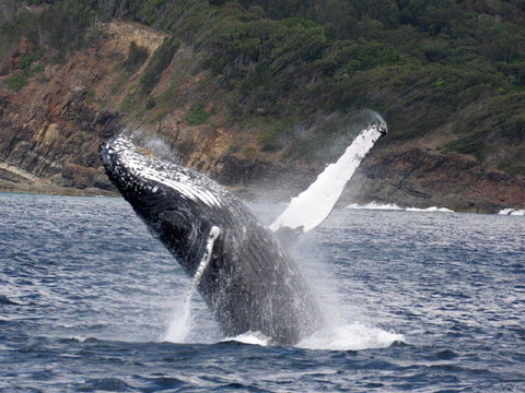 Braemar 9 - Lismore Accommodation 8