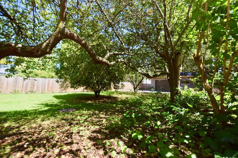 Wildlife Lodge Katoomba - Lismore Accommodation 26