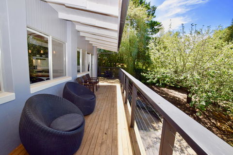 Wildlife Lodge Katoomba - Lismore Accommodation 19