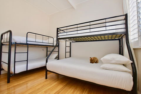 Wildlife Lodge Katoomba - Lismore Accommodation 7