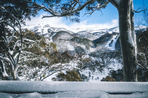 Pure Chalet Thredbo - Lismore Accommodation 2
