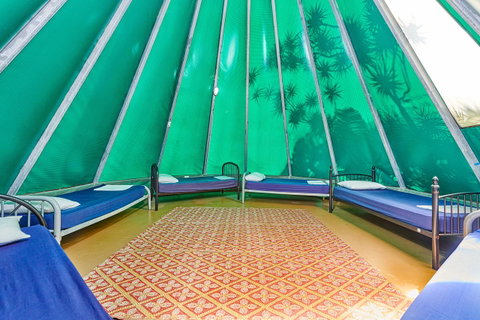 Arts Factory By Nomads - Lismore Accommodation 15