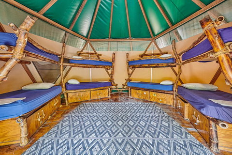 Arts Factory By Nomads - Lismore Accommodation 4