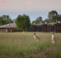 Wildman Wilderness Lodge - Lismore Accommodation